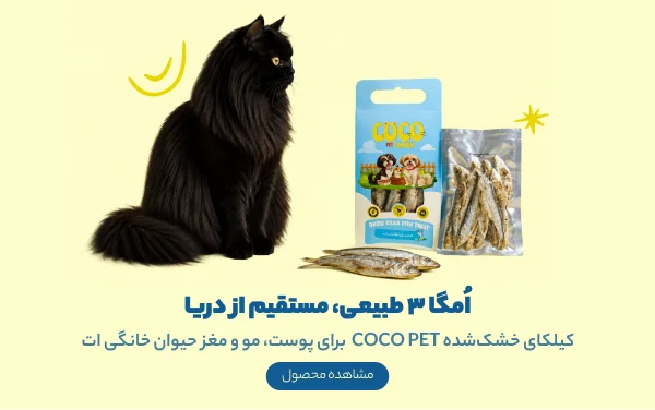 ماهی کیلکا خشک‌شده