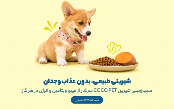 اسنک سیب‌زمینی شیرین