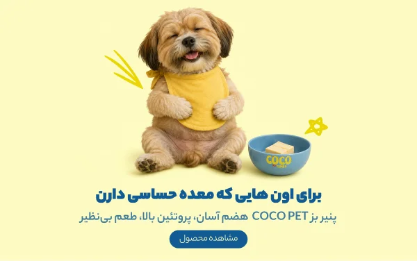 اسنک پنیر بز